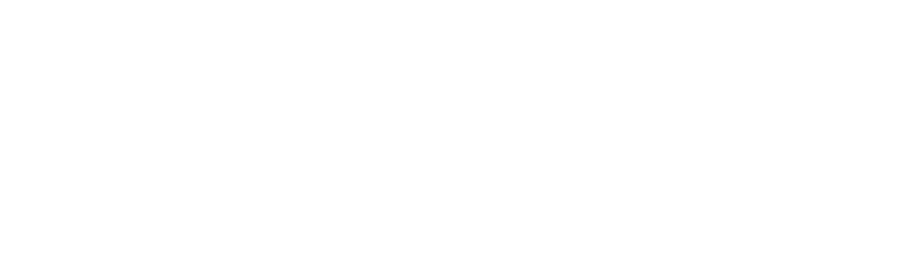 Apple Distinguished School